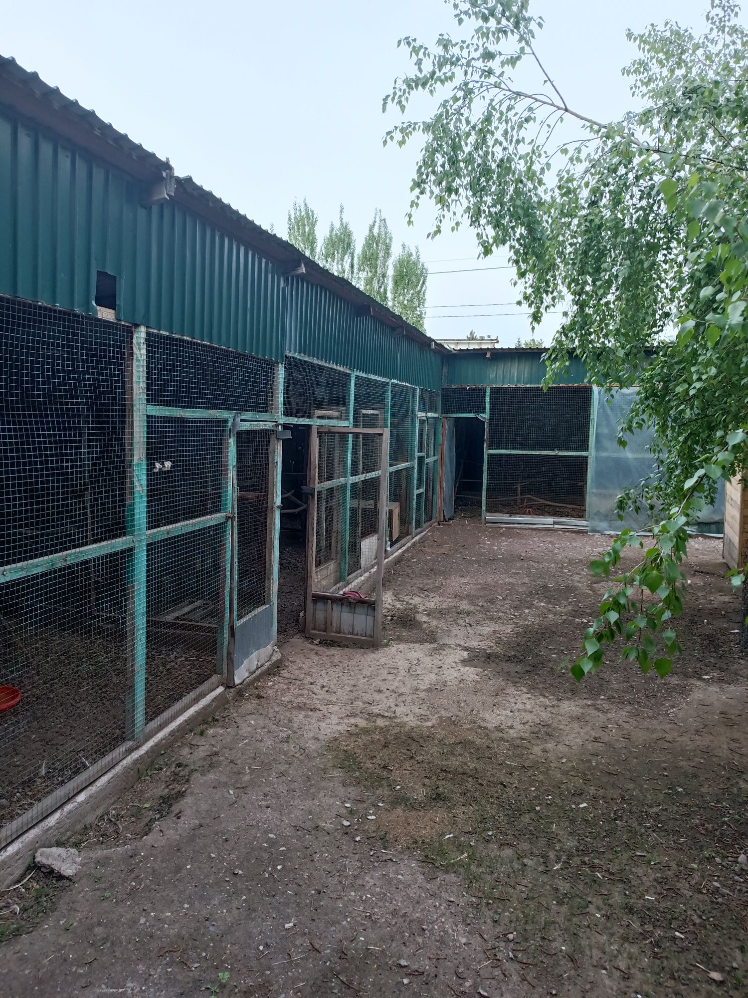 Продам дом у подножия гор в поселке Кайнар
