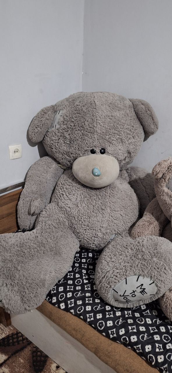 teddy ayiqlar sotiladi 2- ta