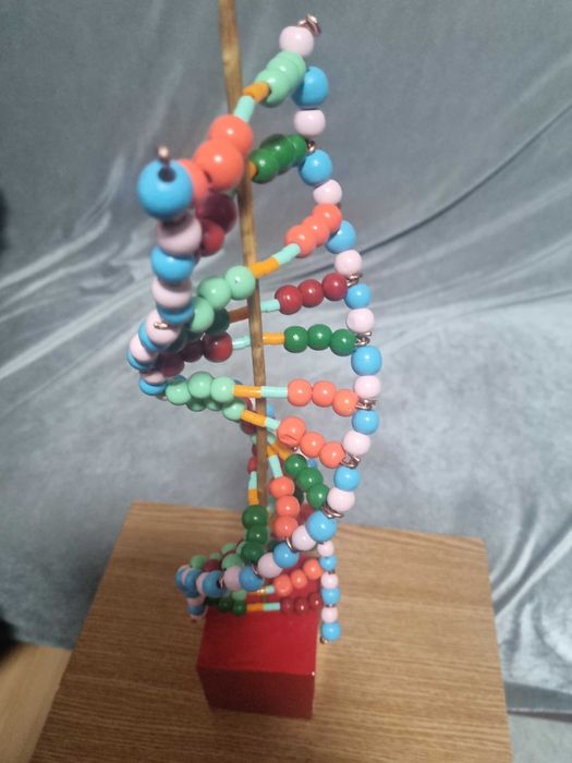 ADN Proiect scoala pentru copii clasa 5-8