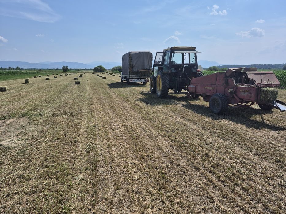 Vand baloti de Lucerna fan productie 2025 Transport la domicilu