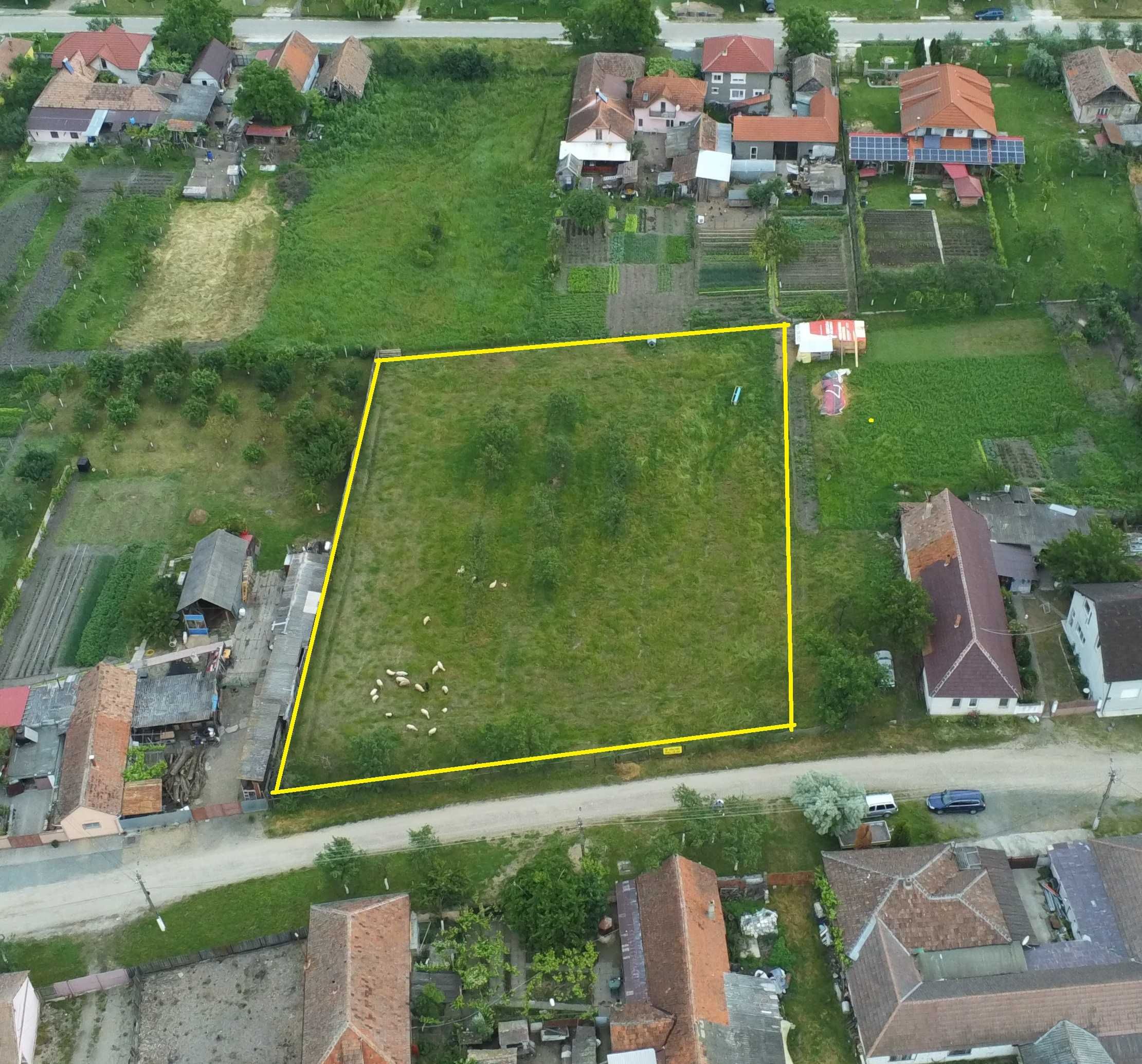 Persoana Fizica vand Teren Intravilan 3000 mp Loc. Sambateni jud. Arad