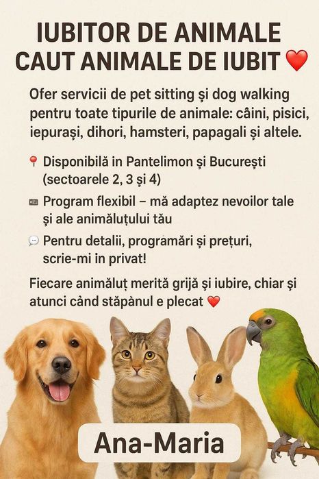dog sitter ( Bona pentru Animale)