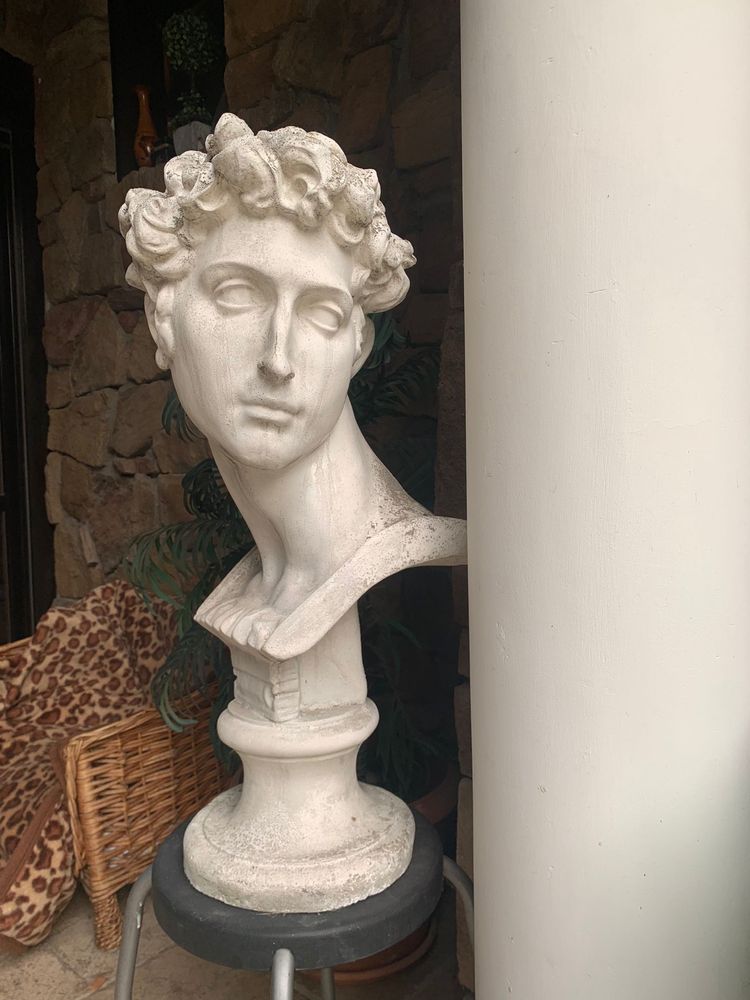 Bust statuie sculptura Giuliano De’ Medici de Michelangelo / David