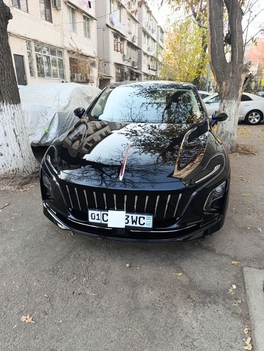 Hongqi Eqm 5  EV450  натариусга тайер