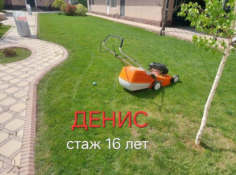 Стрижка газона денис