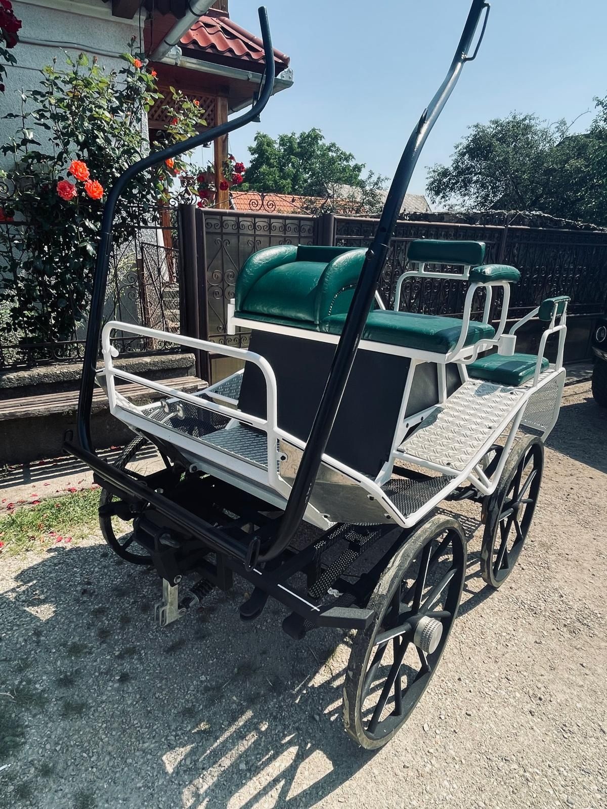 Trăsură maraton de 1si2