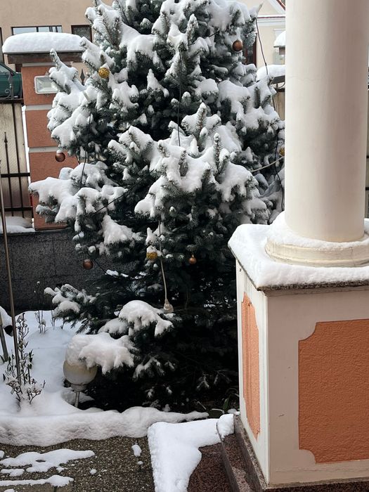 Vila de închiriat/disponibila de Revelion