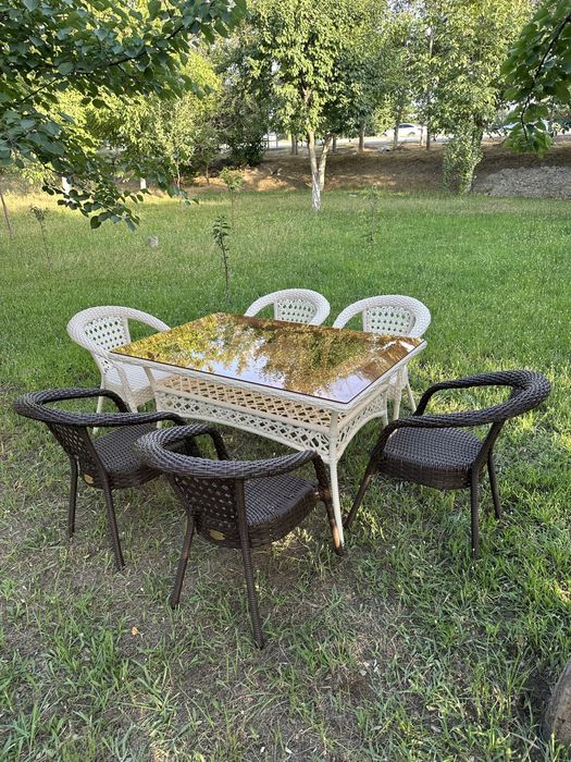 Rattan stol stul 6talik