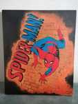 Tablou pictat spiderman