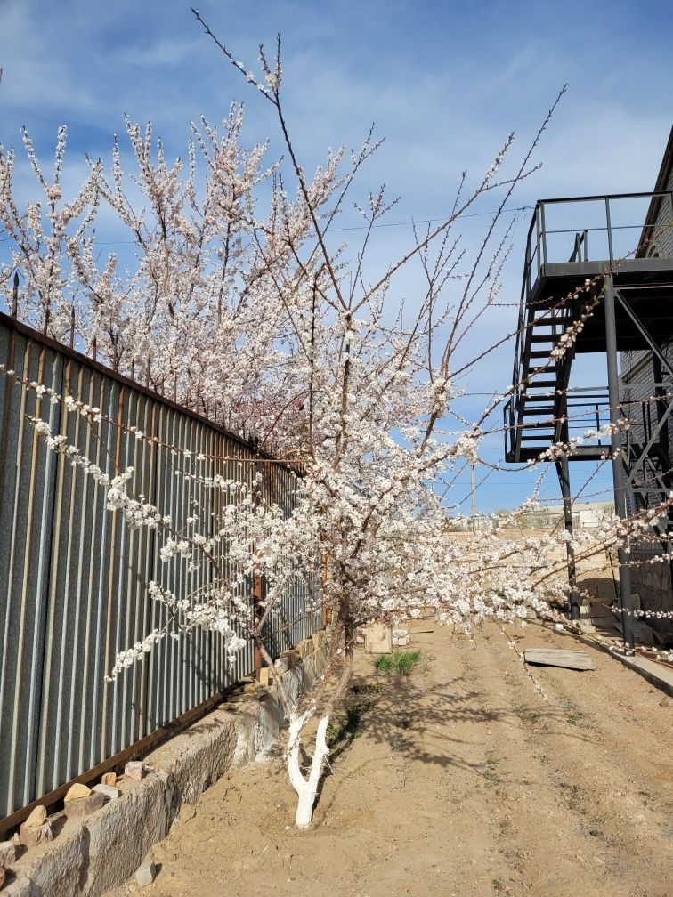 Продается  коттедж в 3х уровнях