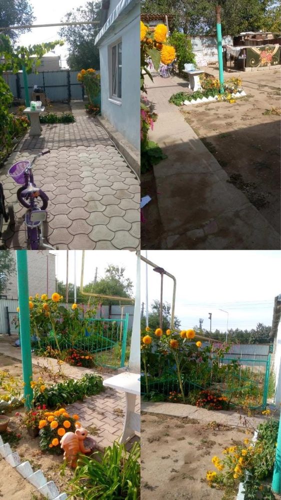 продам дом в жилянке