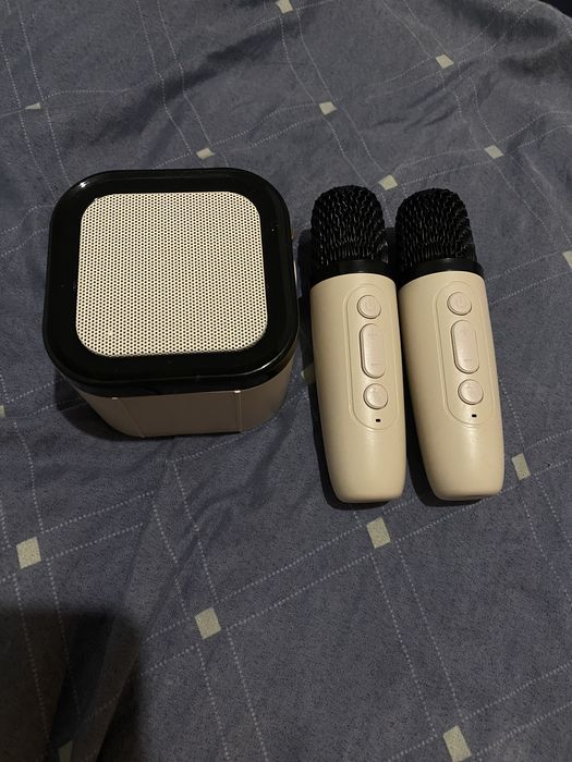 Bluetooth  колонка с микрофонами