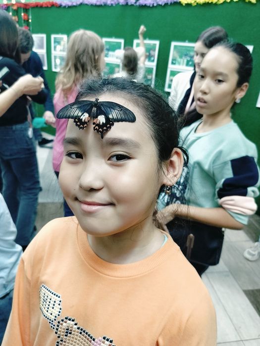 Продам Ковер срочно