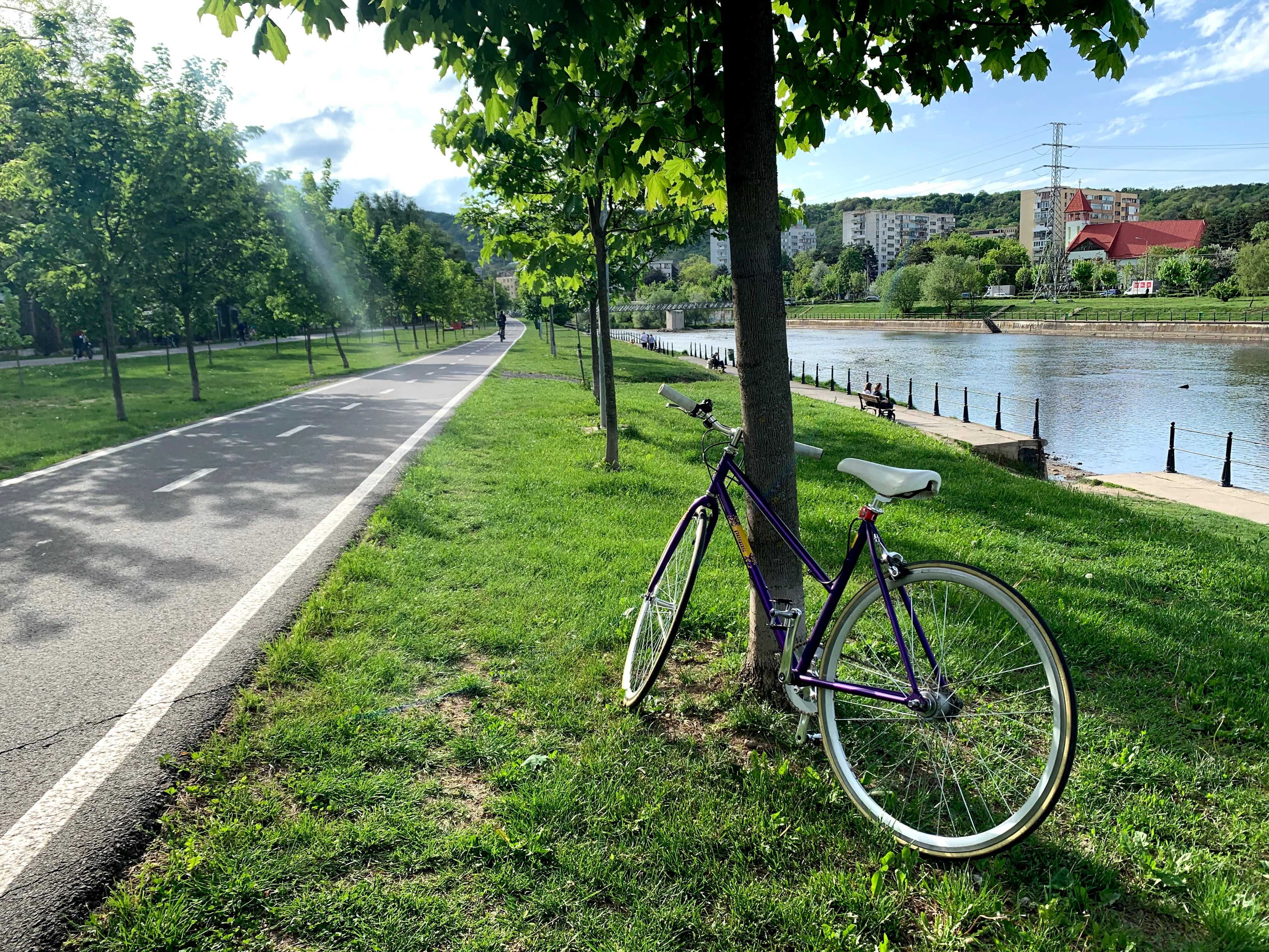 Vand bicicleta Pegas Dama