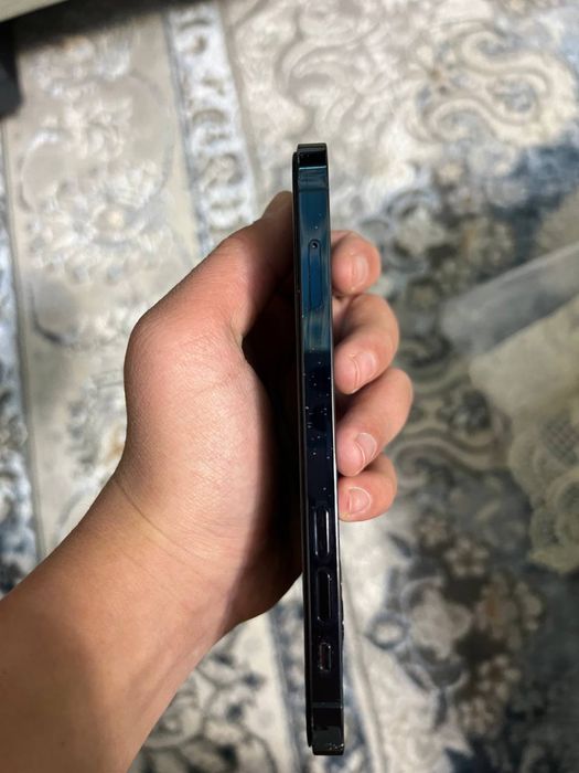 12PRO…………………………..