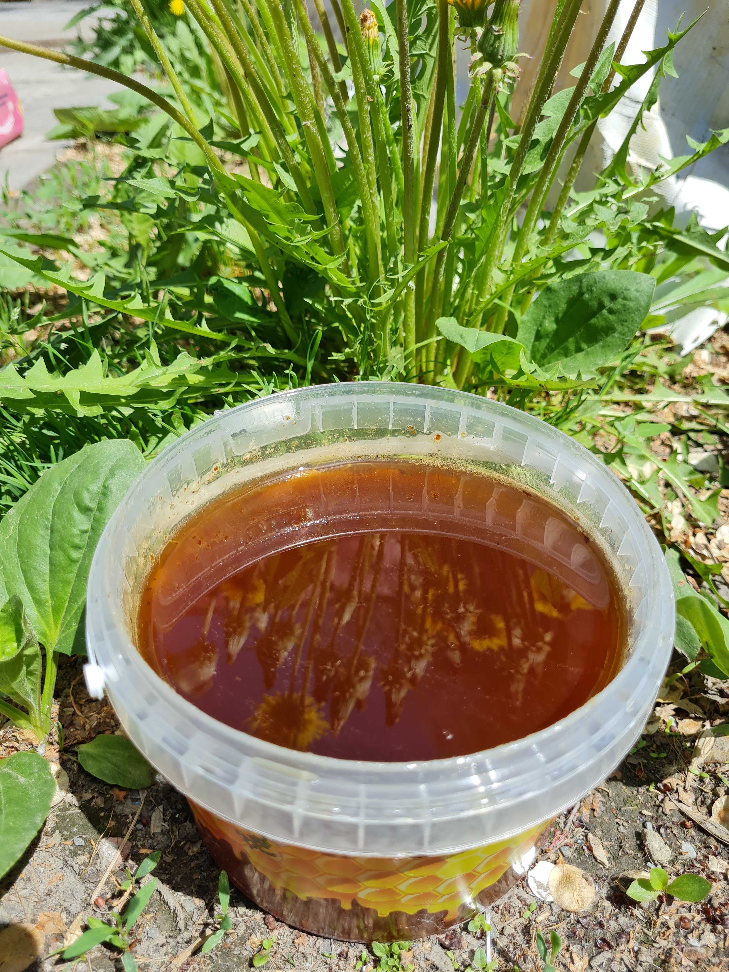Мёд натуральный с Восточного Казахстана