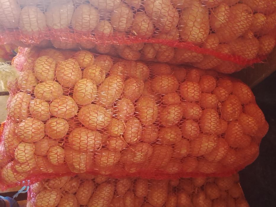 Cartofi pentru animale