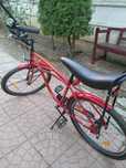 bicicleta pegas strada 1