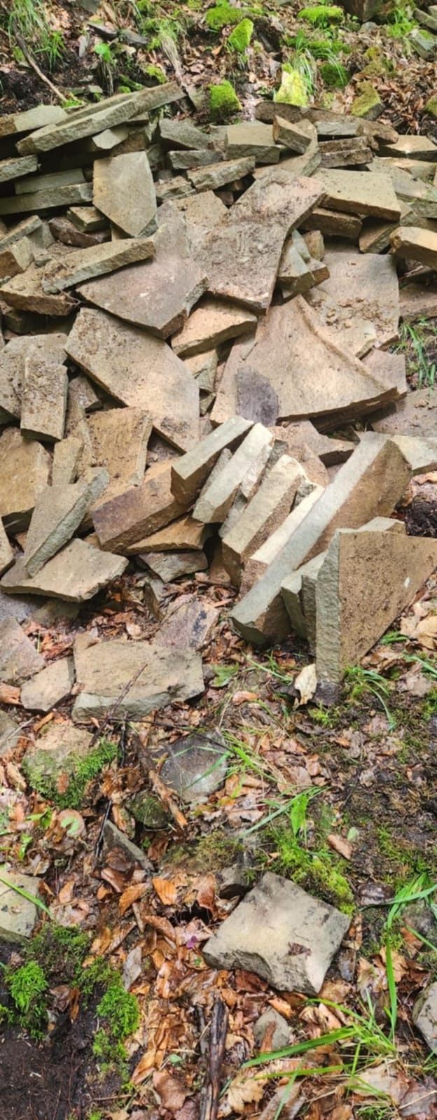 Vând piatră naturală de munte