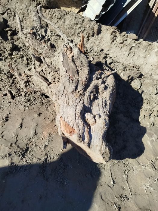 Утин Кунда сотилади