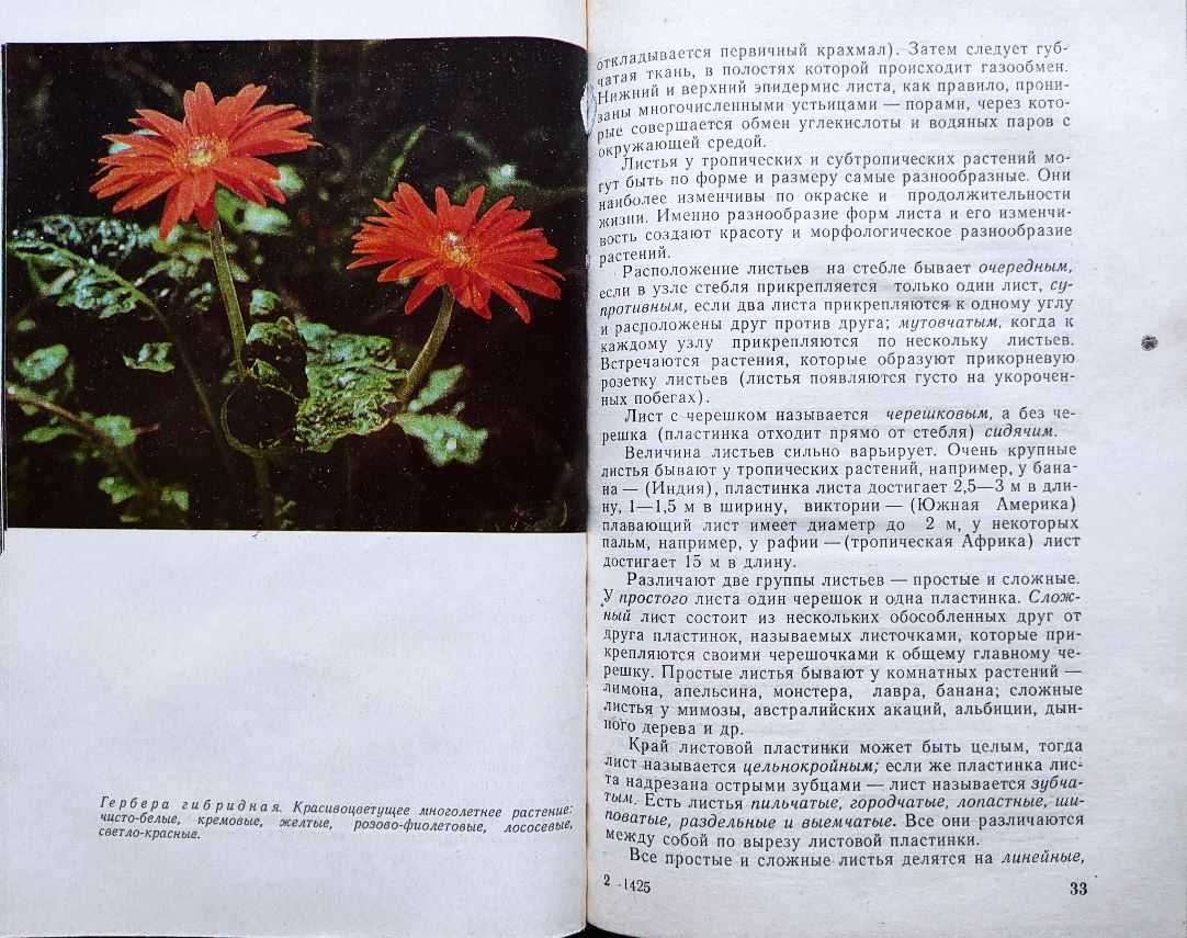Комнатные цветы – подборка книг_02