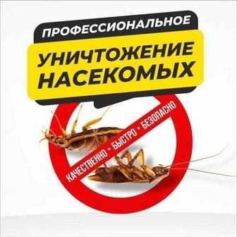 ‼️ Уничтожение мышей крыс тараканов клопов блох ‼️ Алматы ‼️ №555