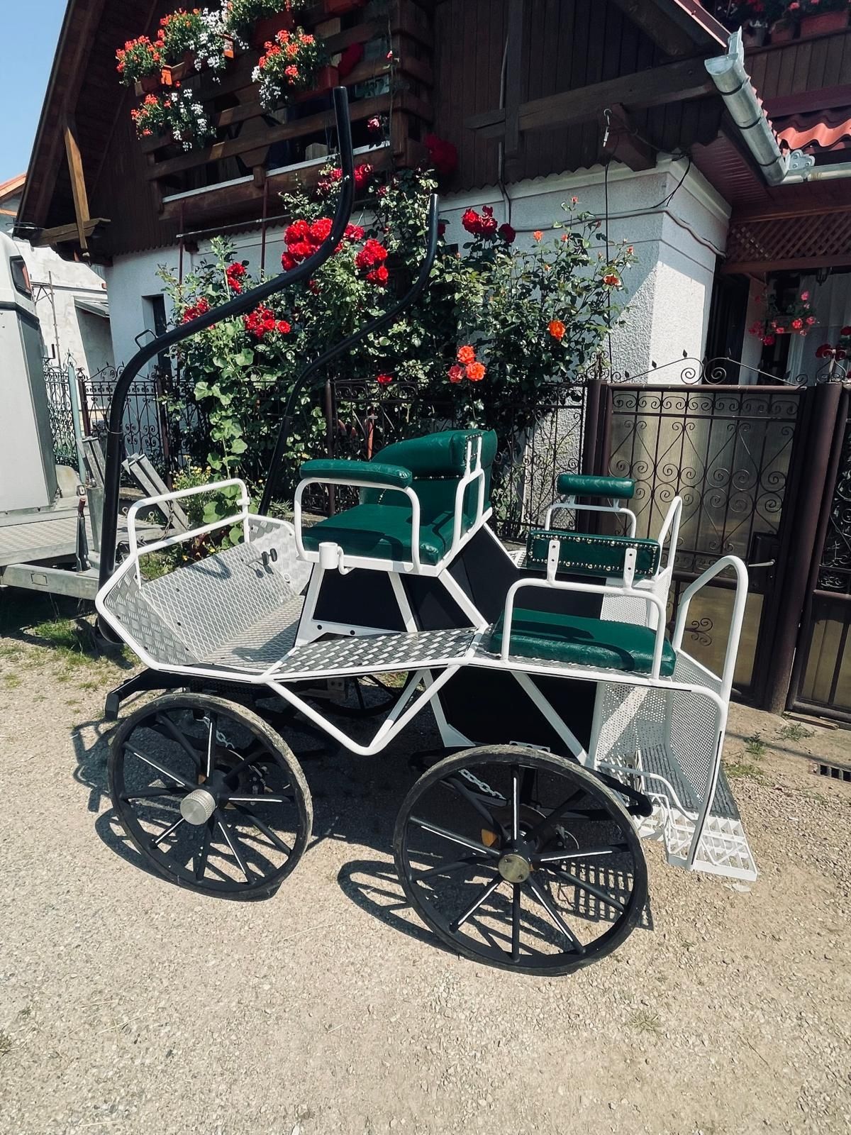 Trăsură maraton de 1si2