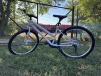 Bicicleta TEC Eros 24" Roz Alb