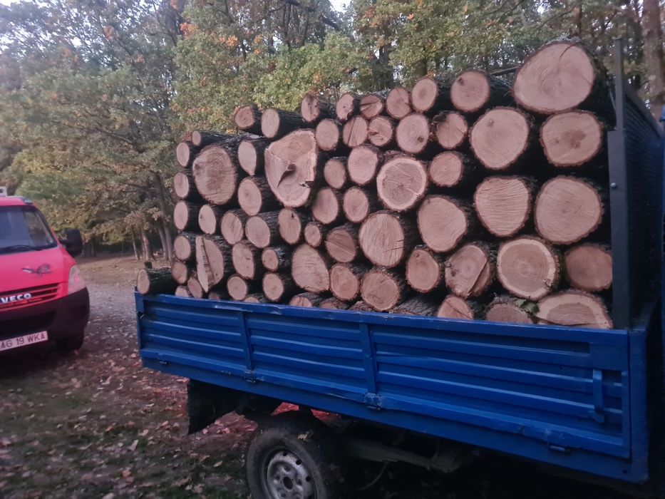 Vand lemne transport gratuit