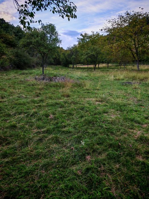 Teren de vânzare Vurpar