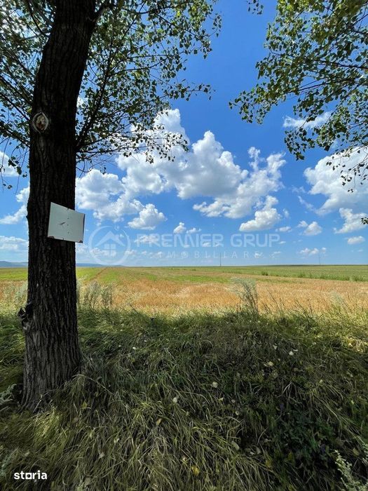 Teren 7.000mp, Miroslava - Liliac