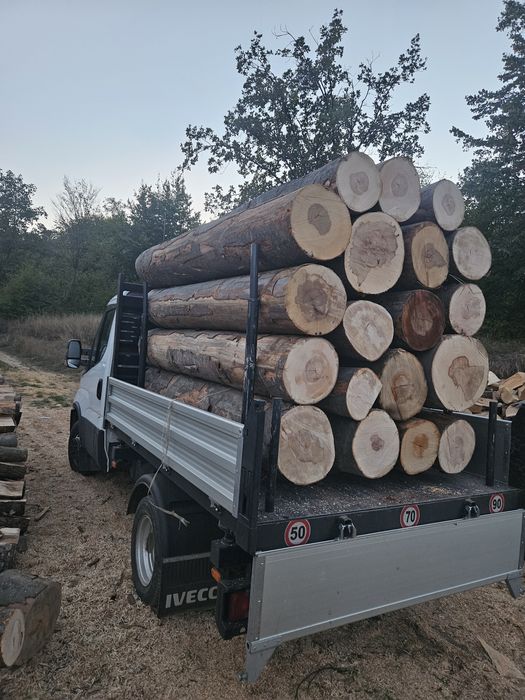 Vand lemn foc fag verzi și uscate pentru centrale!