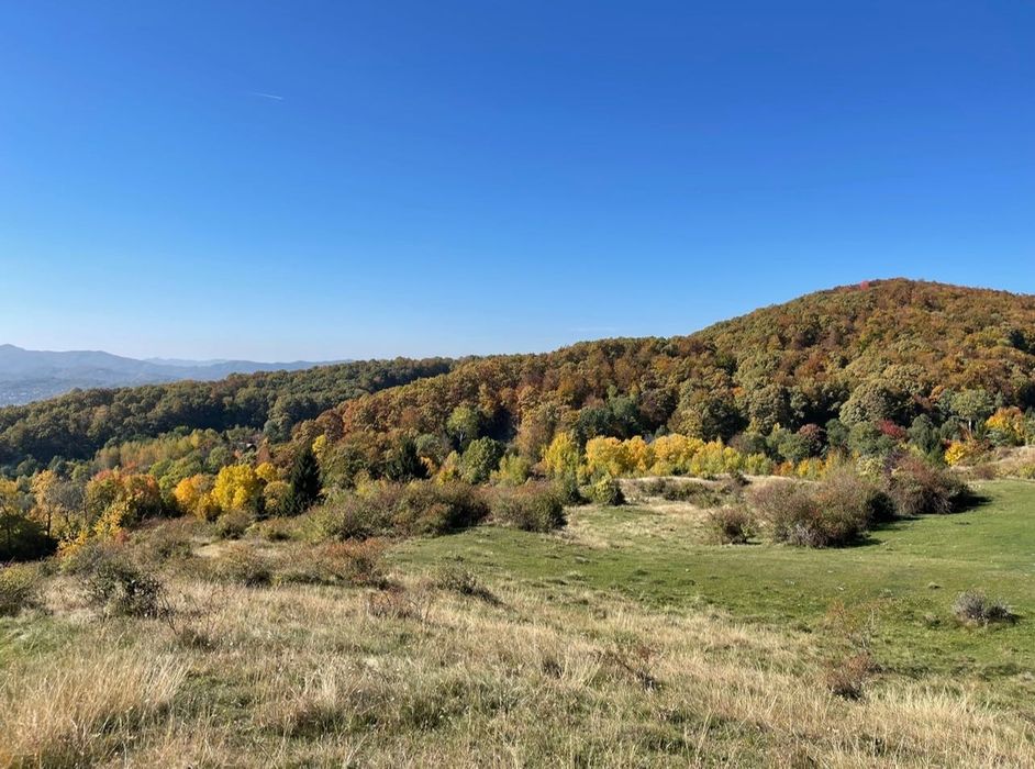 Teren de vis cu cabană, 3300 mp – Sotrile, Valea Doftanei