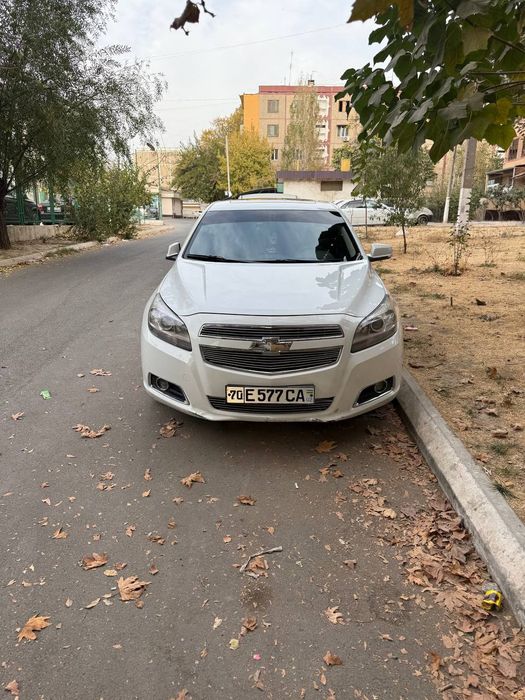 Malibu 1. Pazitsiya 2 lyuki bor 2013god