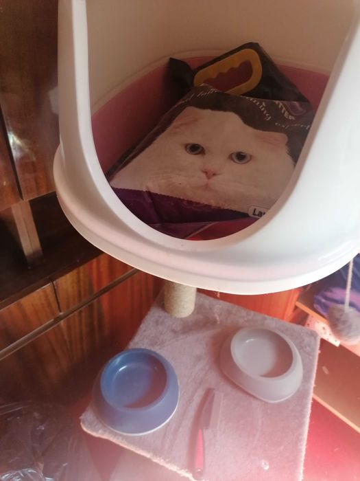 Катерушка за коте, с аксесоари към нея.
