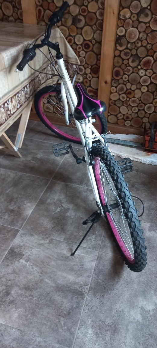 Bicicletă Mountain Bike