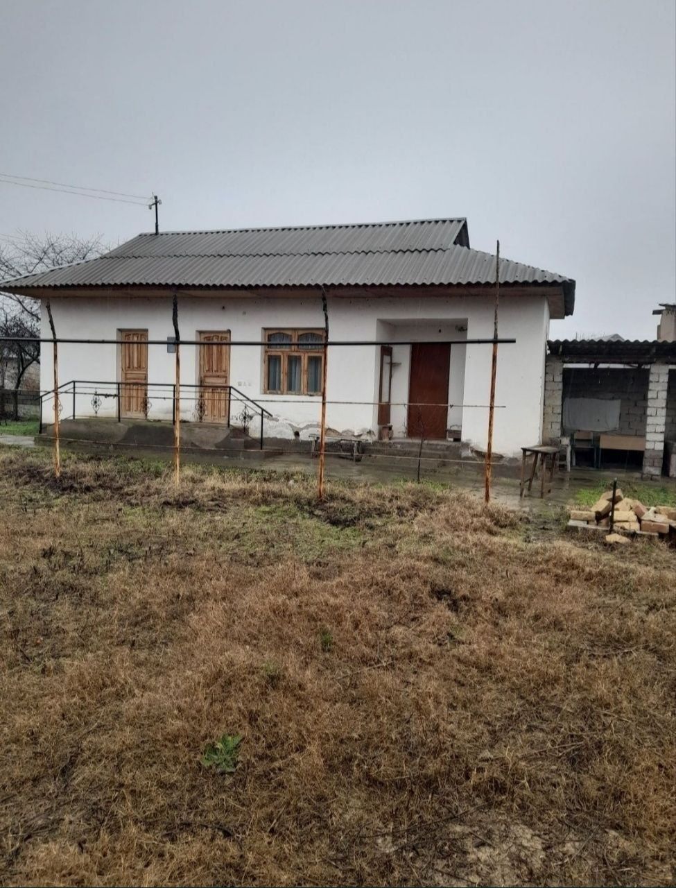 Продается Дача Аккургане таш обл рядом с рекой Сырдарья кадастр есть