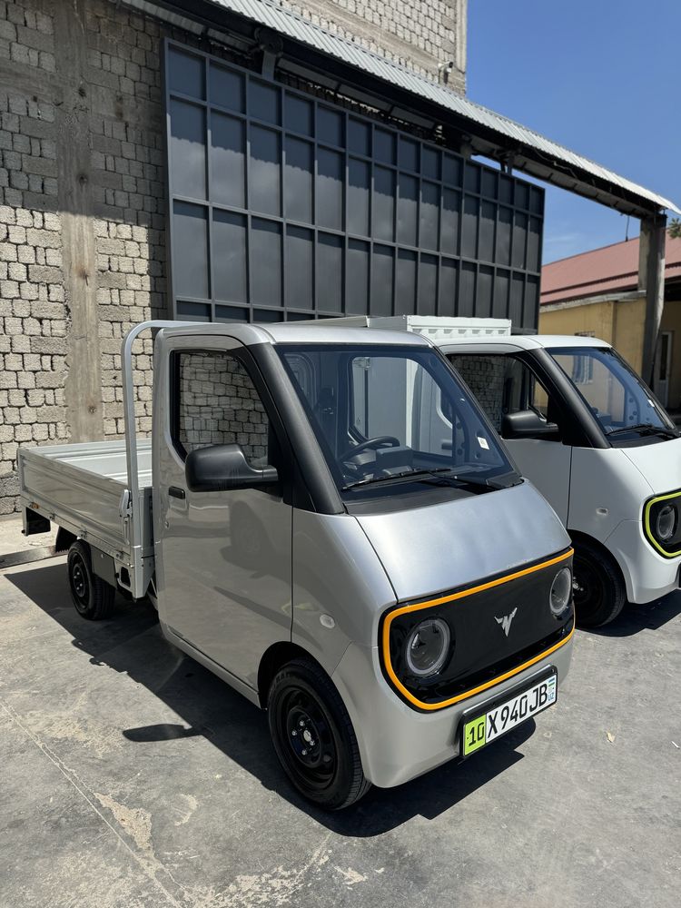Damas mini elektro