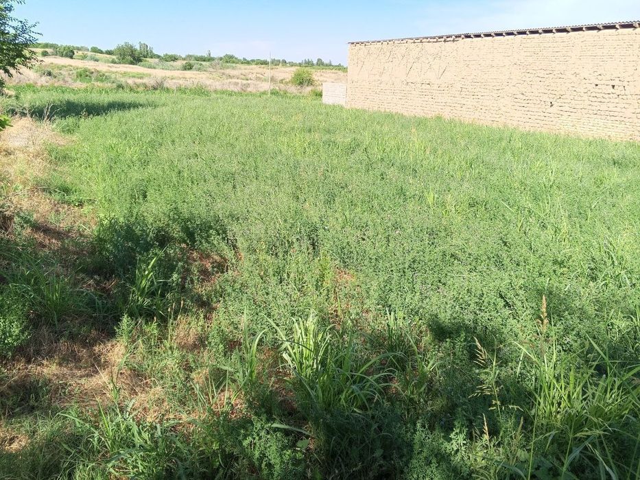 10 соток ер 13.000$