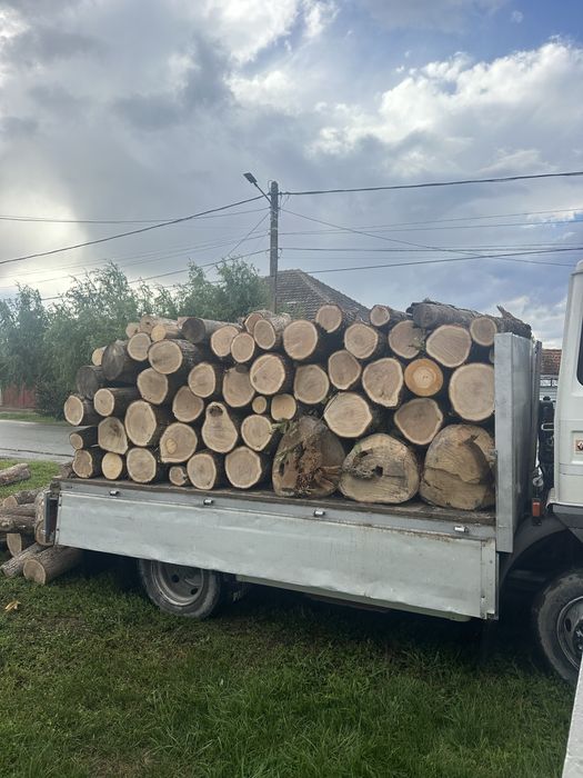 Lemne de foc esenta tare