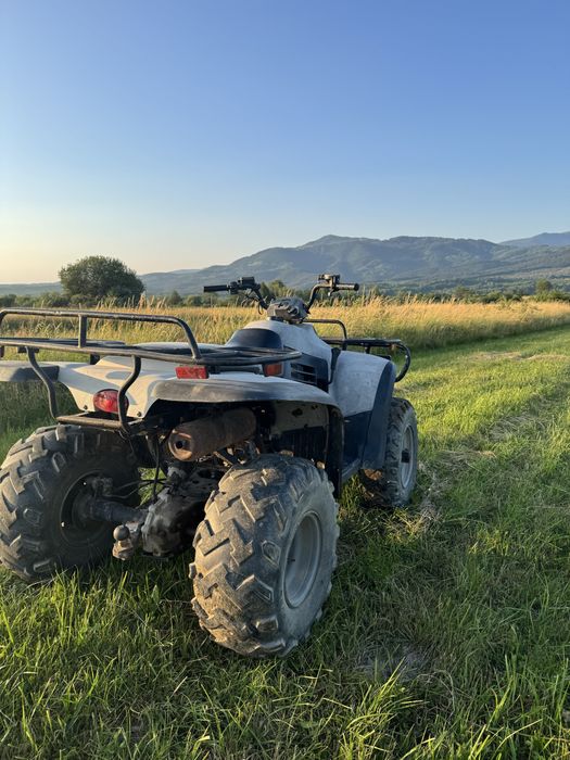 vand atv linhai 300