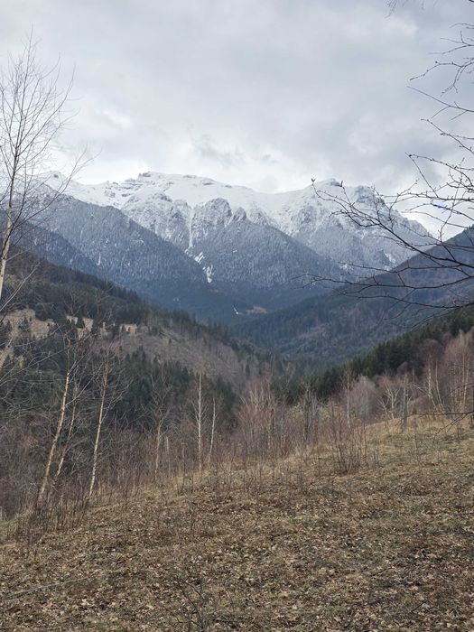 Teren Bran - Intravilan - Langa Partie - Parcelabil