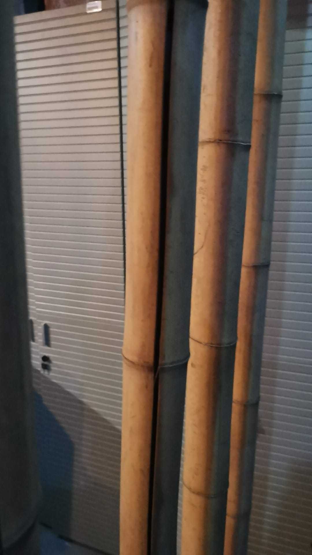 paravan separator living sufragerie bambus 260cm h