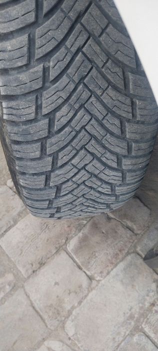 Turkiya Petlas r 15balon