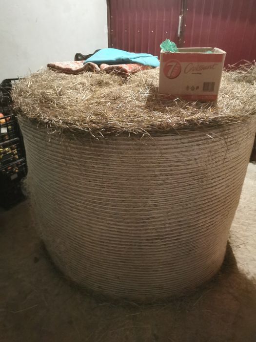 Vând Balot rotund fân sau schimb cu grâu