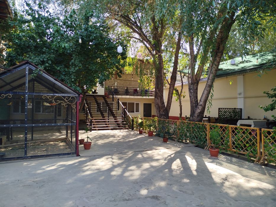 Kafe arenda milliy taomlar
