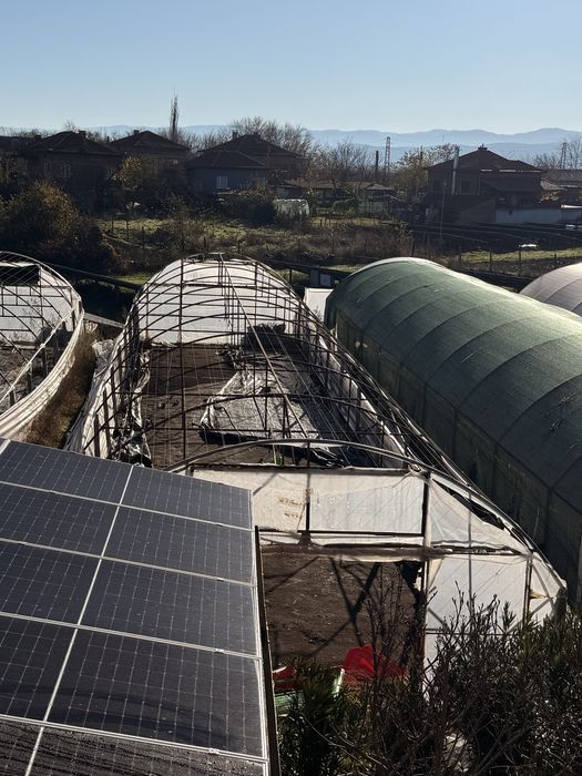 Оранжери. 5 метрови 250 кв