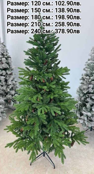 Коледни елхи на ниски цени