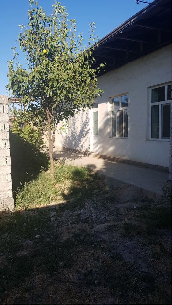 Ховли 3,8 сотик