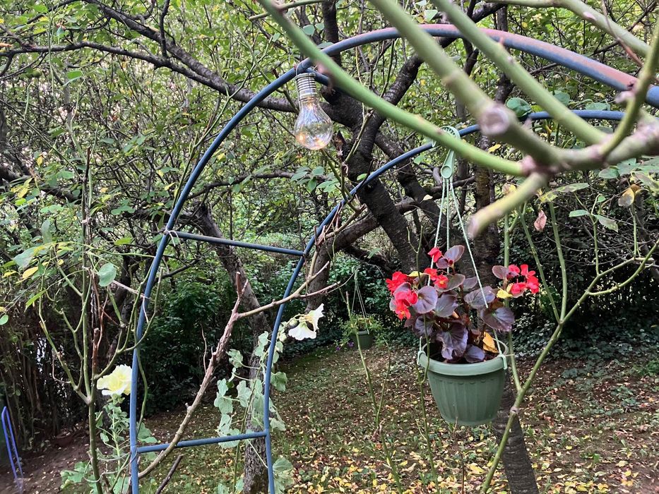 Vand teren din zona Platou Tudor